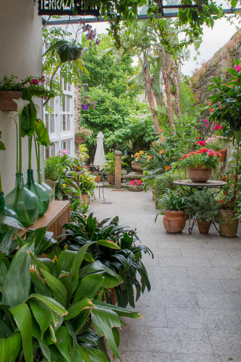 Garden in Hotel Costa Vella