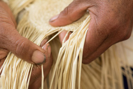 Weaving straw for Panama Hats, Ecuador