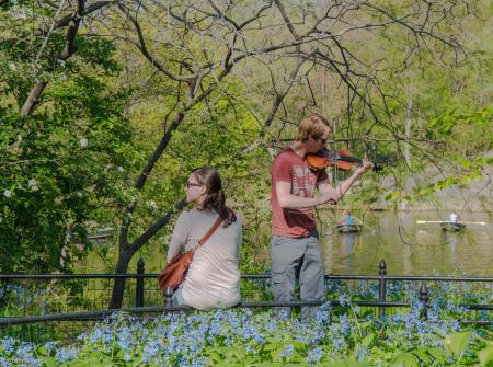 Central Park, musician
