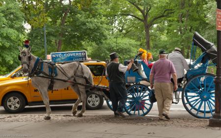 Central Park, Central Park South, Horse & Carriage