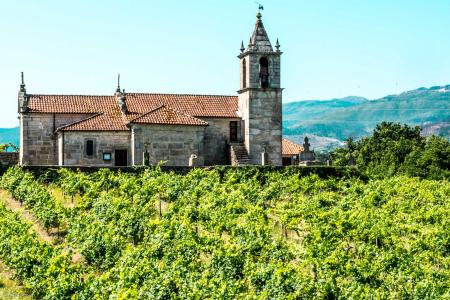 small chapel, vineyard, Douro Valley, Portugal