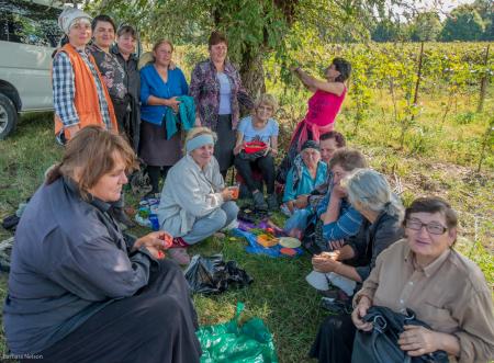 Lunch time. Harvesters of grapes, Kakheti region