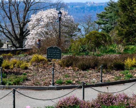 First color of Spring. Heather Garden
Ft. Tryon Park, 