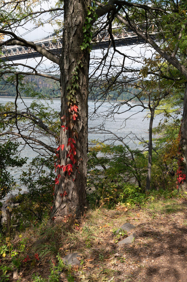 Ft Tryon Park. Fall, Hudson River
