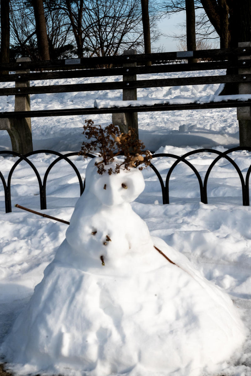 Ft. Tryon Park. Snow Lady.