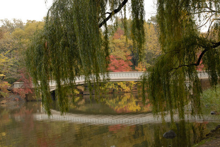 Fall in Central Park
Bow Bridge