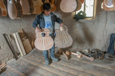 Guitar and string instruments craftsman