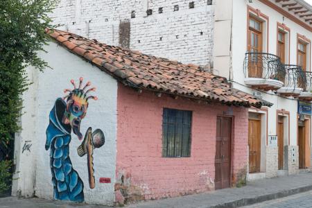Cuenca. Ecuador Street Art