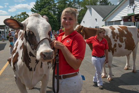 Cattle on display
Dutchess County Fair