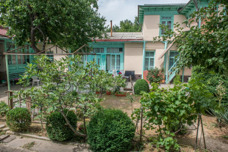 Courtyard Garden, old town, Tashkent, Uzbekistan