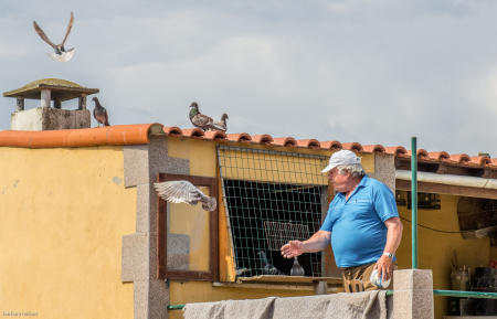 Owner of pet birds