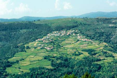wine estate Douro Valley