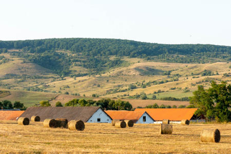 Transylavnia, Viscri Village, Romania